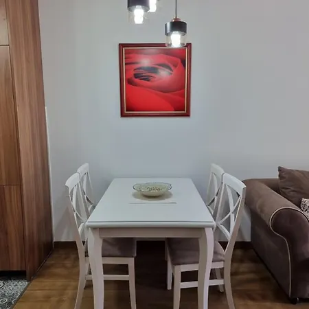 Apartament Fantastic New Centre